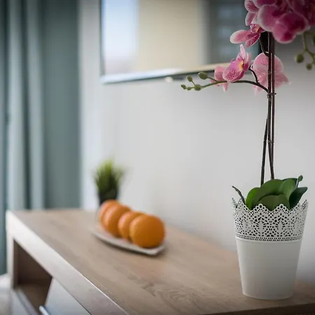 Διαμέρισμα New In Las Americas With Balcony Arona (Tenerife)